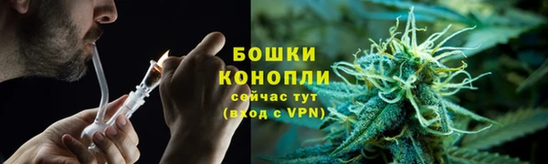 мескалин Ельня
