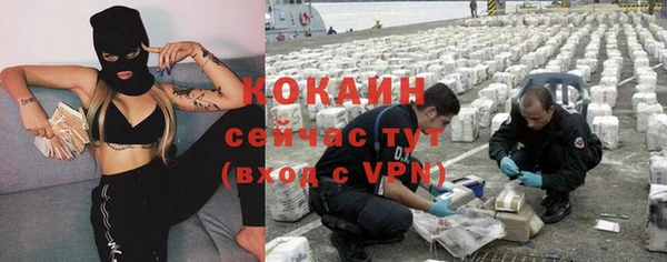 мескалин Ельня