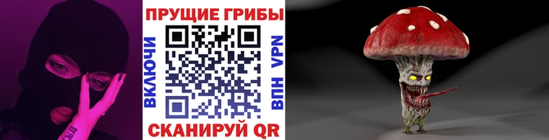 Галлюциногенные грибы Psilocybe  Купить закладки  Кашин 